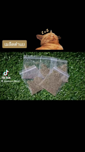 เมล็ดตำแยแมวแบบแยกดอกกับเมล็ดออกจากกัน ราคาสวยและสวยงาม ราคาพิเศษ