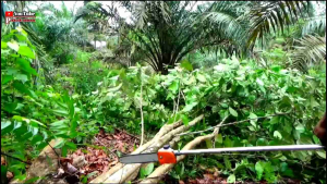 MESIN POTONG RUMPUT MODEL HONDA GX-35 KOMPLIT CHAINSAW