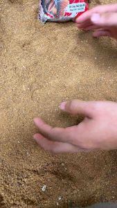 5 GÓI MỒI CÂU CÁ CHÉP TỐC CHIẾN (500gam có hương liệu bên trong) Mồi câu cá chép hồ dịch vụ tự nhiên Fishing