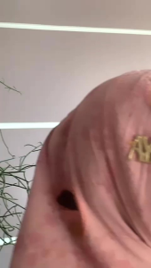 HIJAB INSTAN KHIMAR HODIE MANPLIS BORDIR CERUTY BABYDOLL EXCLUSIVE PREMIUM BY AYYUBY