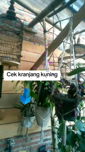 Tali Gantungan Pot Tali Makram Panjang 90cm
