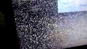 Samsung UA32D4000 power supply # BN44-00421A