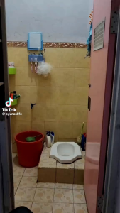Tirai Kamar Mandi anti air PEVA sudah dilengkapi pemgait - cat