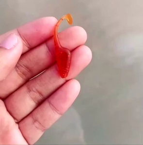 4ซม./0.75กรัม หนอนยาง ปลายางลูกอ๊อด ซอง 6 ตัว - หนอนยาง ปลายางลูกอ๊อด 4ซม./0.75กรัม