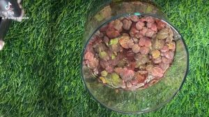 จอกแดงญี่ปุ่น ปลอดสารพิษเลี้ยงธรรมชาติ(1ชุดมี 35++ ช่อ