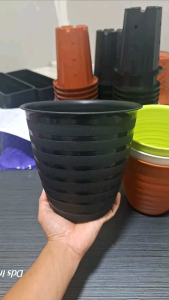 GROSIR 1/2 LUSIN Pot Tirus 20 / Pot Tanaman / Pot Bunga / Pot Bunga Plastik / Pot Bunga Murah / Pot Cantik / Pot Kembang