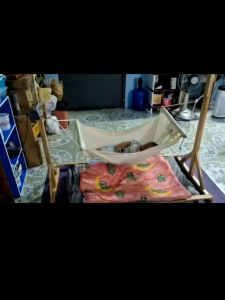 โครงเปลไม้โบราณ  ที่นอนเด็กพร้อมเปลสำหรับเด็ก เหมาะสำหรับเด็กแรกเกิดถึง 3 ขวบ