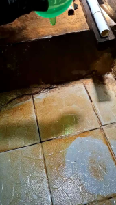 PUSHCLEAN TOILET CLEANER FINK 1LITER Pembersih Kamar Mandi Toilet Kloset Wastapel Syower kran Toren dan Kerak nodan pada peralatan dapur