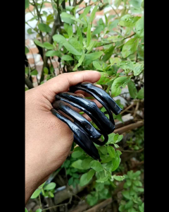 Gelang akar bahar hitam asli size kantor lentur berserat 100% Original