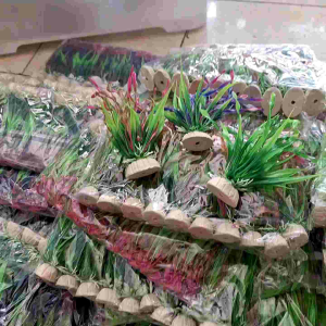 Hiasan aquarium kembang warna warni aquascape