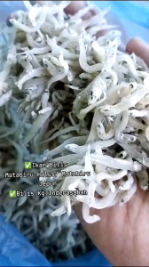Ikan Bilis Matabiru No.1 Halus Gred 3A Inderasabah Rangup ORIGINAL SABAH