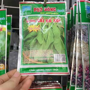 Hạt Giống Cải Bó Xôi (Rau Chân Vịt) Chịu Nhiệt Dễ Trồng