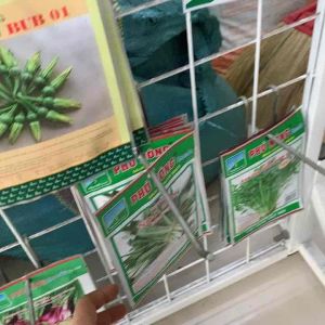 Hạt Giống Ngò Gai (Mùi Tàu) Dễ Trồng Thơm 5Gr