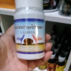 SUPLEMEN VITAMIN AYAM BANGKOK THAI  HERBS  BIRMA  SUPLEMENT MULTIVITAMIN AYAM Import Thailand