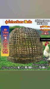 สุ่มไก่ชนเสริมเส้นขอบหนาขนาด(กลาง)