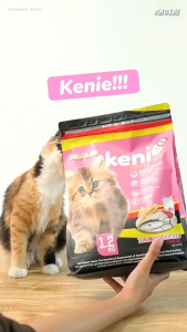 Kenie Kitten 12kg Freshpack MakananPakan Anak Kucing Dry Food Cat