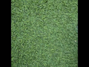 dompet kulit premium kulit sapi