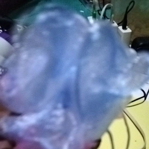 terlaris!!!/SPONS ALAT PEMBERSIH BADAN/SPONS MANDI