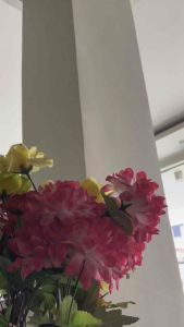 PARFUM LAUNDRY ROOM & LINE SPRAY ANTI BACTERIAL 250ML serbaguna