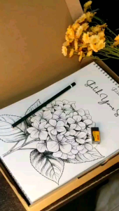 Sketchbook Spiral Atas A4 A5 Monokrom | Bonus Box Pensil & Penghapus | Starter Kit Menggambar