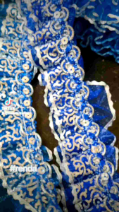 Renda DIY Wedding Lace - 2 Inches x 1 Metre