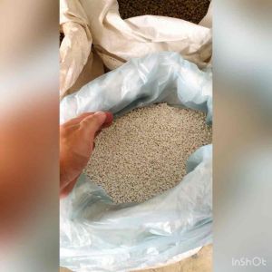 วัสดุปลูก ราคาถูกสุด เพอร์ไลท์ เวอร์มิคูไลท์ หินภูเขาไฟ พีทมอส มูลไส้เดือน