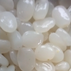 jual  kulang Kaling  pres  atau buah aren muda  brkualitas 1 kg