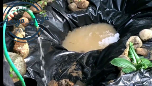 Plastik Hitam HDPE Geomembran 250 Micron: Solusi Kolam & Atap Tahan Lama