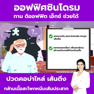 ดิ-ออฟฟิต เอ็กซ์ Di-Office X เหมาะสำหรับกระดูกและข้อ มีคิวอาร์โค้ดตรวจสอบได้ ของแท้ 100%