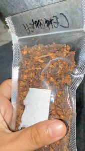 Cengkeh utuh 100gr / clove / cengkeh bumbu rempah HAFASA