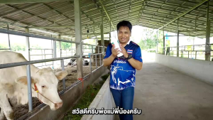 3 ขวด 900 บำรุงระบบสืบพันธุ์ 900 บำรุงระบบสืบพันธุ์ 3 ขวด 900