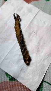 Koleksi dekorasi tangkur byo asli stok terbatas