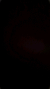 Kacang Almond Panggang 1 Kg: Manfaat & Tips Penggunaan