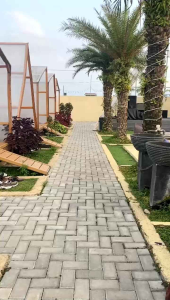 Tunik Anak Perempuan Remaja Tanggung Paddlekids Tunik Corduray Ruffle Paddle Kids Atasan Anak Perempuan Lengan Panjang