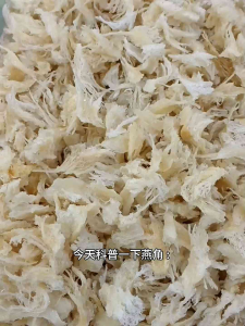 100%纯天然燕角 25克/g  | No Additives | birds nest | Tanpa Bahan Tambahan 丨 燕窝 / 燕角 / 燕饼 / 燕窝礼盒