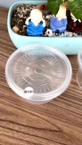 Bộ 50 Tô PP trong  600ml TTK  kèm nắp