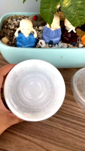 Bộ 50 Tô PP Trong 200ml TTK + Nắp