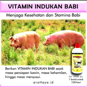 VITAMIN INDUKAN BABI 500 cc / obat vitamin ternak babi / pakan ternak babi / obat penggemuk babi /