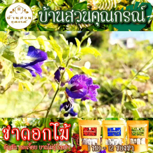 ชาดอกไม้ ชาสมุนไพร กระเจี๊ยบแดง บ้านสวนคุณกรณ์