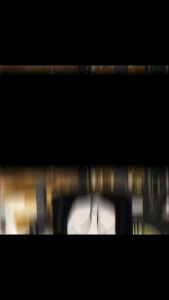 ผ้าห่มแมวทะลึ่ง แมวRIP N DIP แมวชูนิ้วกลาง ผ้าห่ม Size : กว้าง 150* ยาว200cm (AC016)