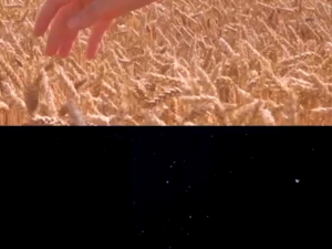 Hotto Purto Super Oat Multigrain BPOM HALAL