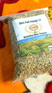 Benih padi impago 13 unggul beras putih pulen 1 kg