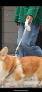 [SG Seller] 3M/5M Dog Retractable Traction Rope Durable Dog Leash Cat Puppy Harness Belt Automatic Flexible Length