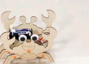 Automata World Bionic Crab DIY STEM Kit STEAM DIY Kit Children Party gift Kids toys with coloring set