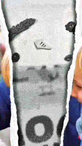 Buku Anak : 100 Hewan Pertamaku | Edukasi Anak Usia Dini | Fullcolor | PQS