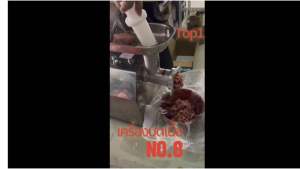 เครื่องบดเนื้อ 60กก./ชั่วโมง บดหมู 6 บดพริกแกง กระเทียม สแตนเลส พร้อมส่ง ฟรีรังผึ้ง 2 ขนาด