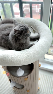 [SG]🚚 Felt Wooden Board Internet Celebrity Multi-layer Tree Hole Cat House Integrated Wear-resistant Cat Tub All Seasons