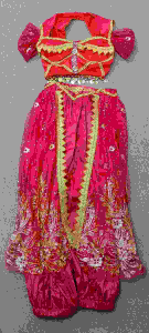 READY STOCK Cosplay Adult Jasmine Aladdin Arabian Indian Costume Movie Story Book Disney Character Fairytale Costume