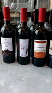 SET 10 bộ vỏ chai trang trí hình ngẫu nhiên