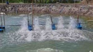 ทุ่นลอยน้ำ7นิ้วพร้อมฐานลองเพลา ทุ่นลองน้ำบ่อน้ำบ่อปลาบ่อกุ้ง ทุ่นลอยน้ำ ทุ่นน้ำ - Lazada